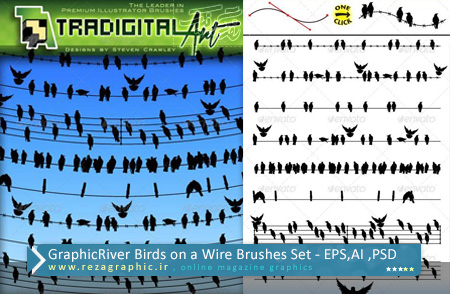 طرح لایه باز و وکتور پرندگان روی سیم برق - گرافیک ریور | رضاگرافیک 